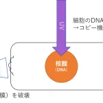 Thumbnail of post image 158